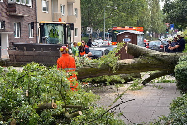 Feuerwehr_Baum   033.jpg